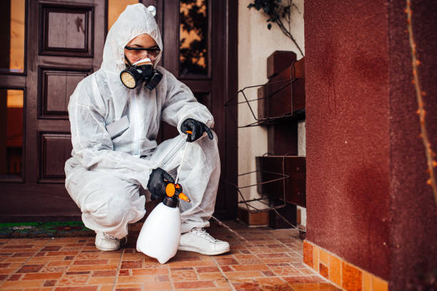 Reliable Wasp Removal contractor in Coldstream, KY by Show Me Pest Control